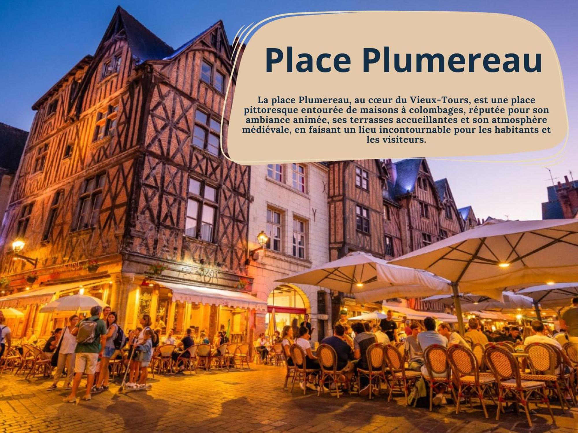 Begonia - Place Plumereau Tours Zewnętrze zdjęcie